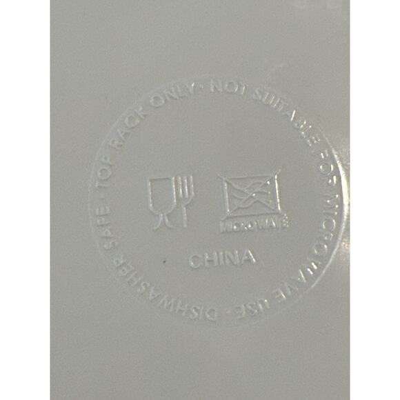 Melamine Square‎ Plates Garden Sunflower Fresh Cream Tomatoes Sweet Corn (10) - Picture 6 of 10